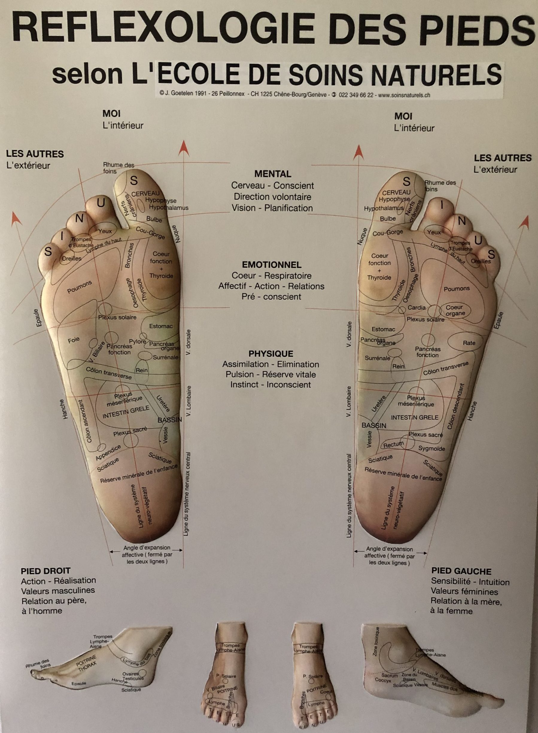 Rouleau De Massage Pour Les Pieds Pour Fasciite Plantaire Et Douleur De La Vo Te Plantaire Rouleau De Massage Premium Siniker